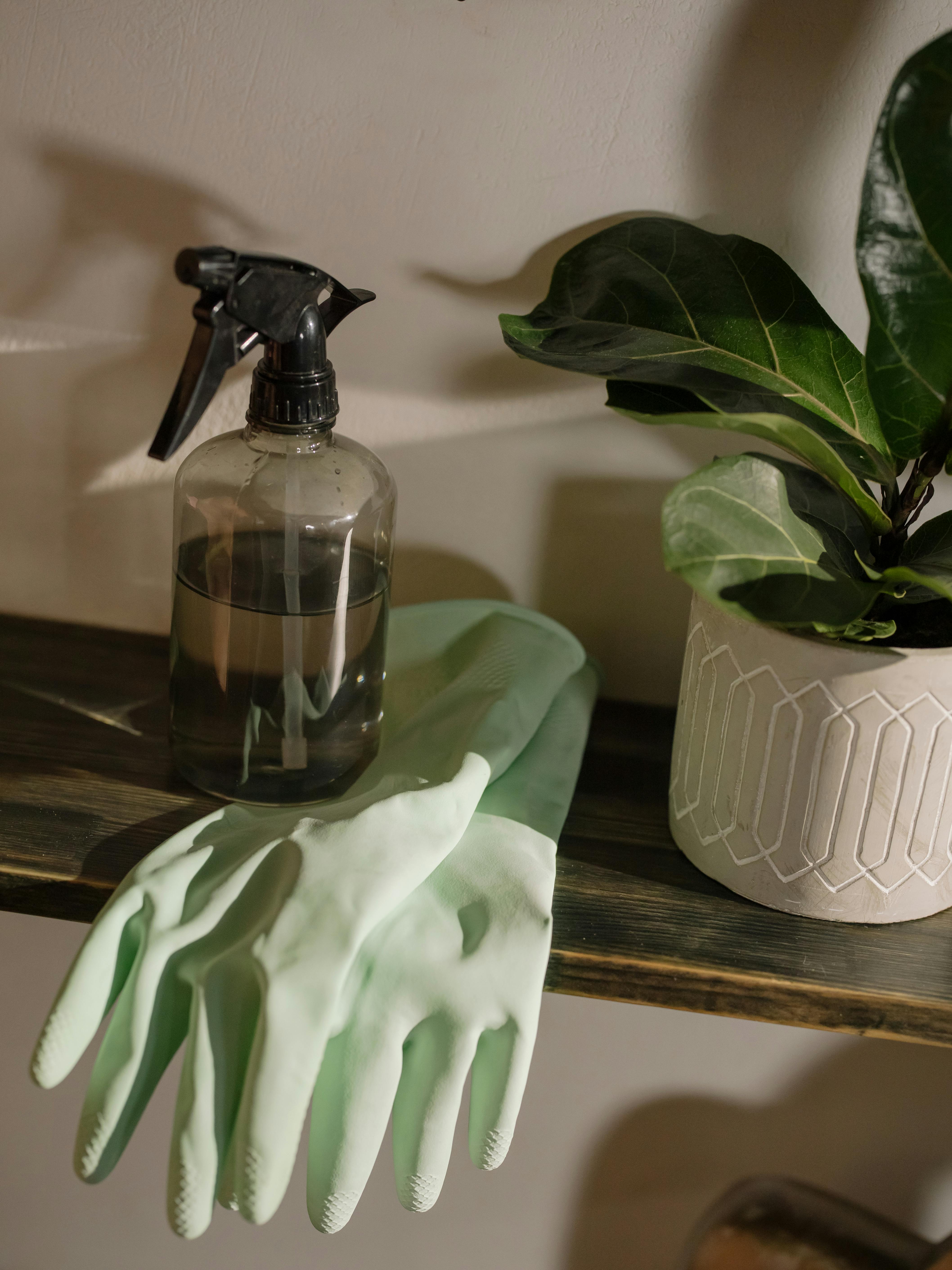 Tidy home essentials